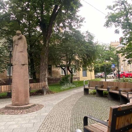 Izuminka V Centre Goroda Lviv Luaran gambar