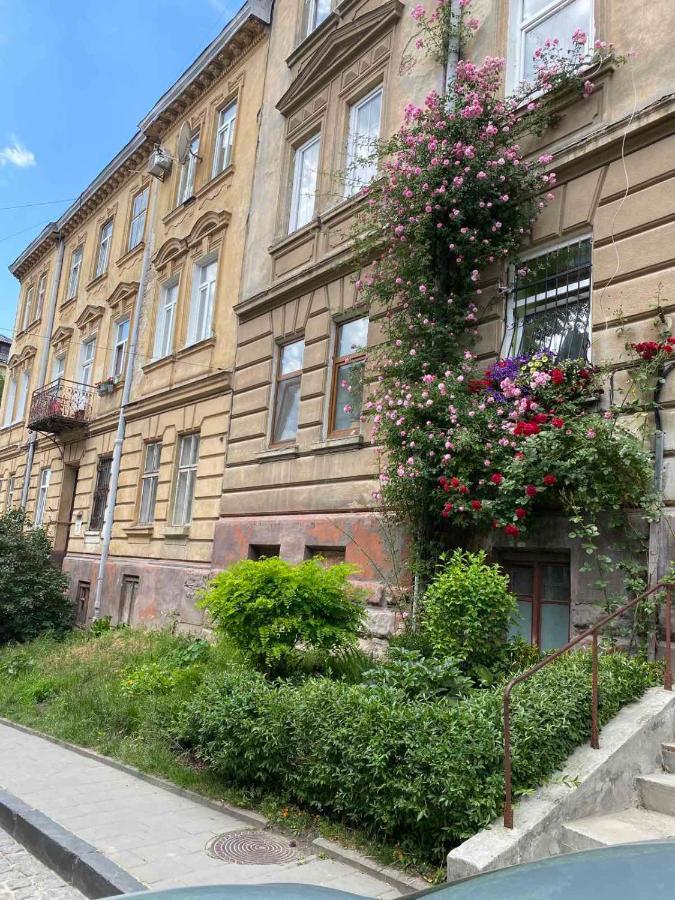 Izuminka V Centre Goroda Lviv Luaran gambar